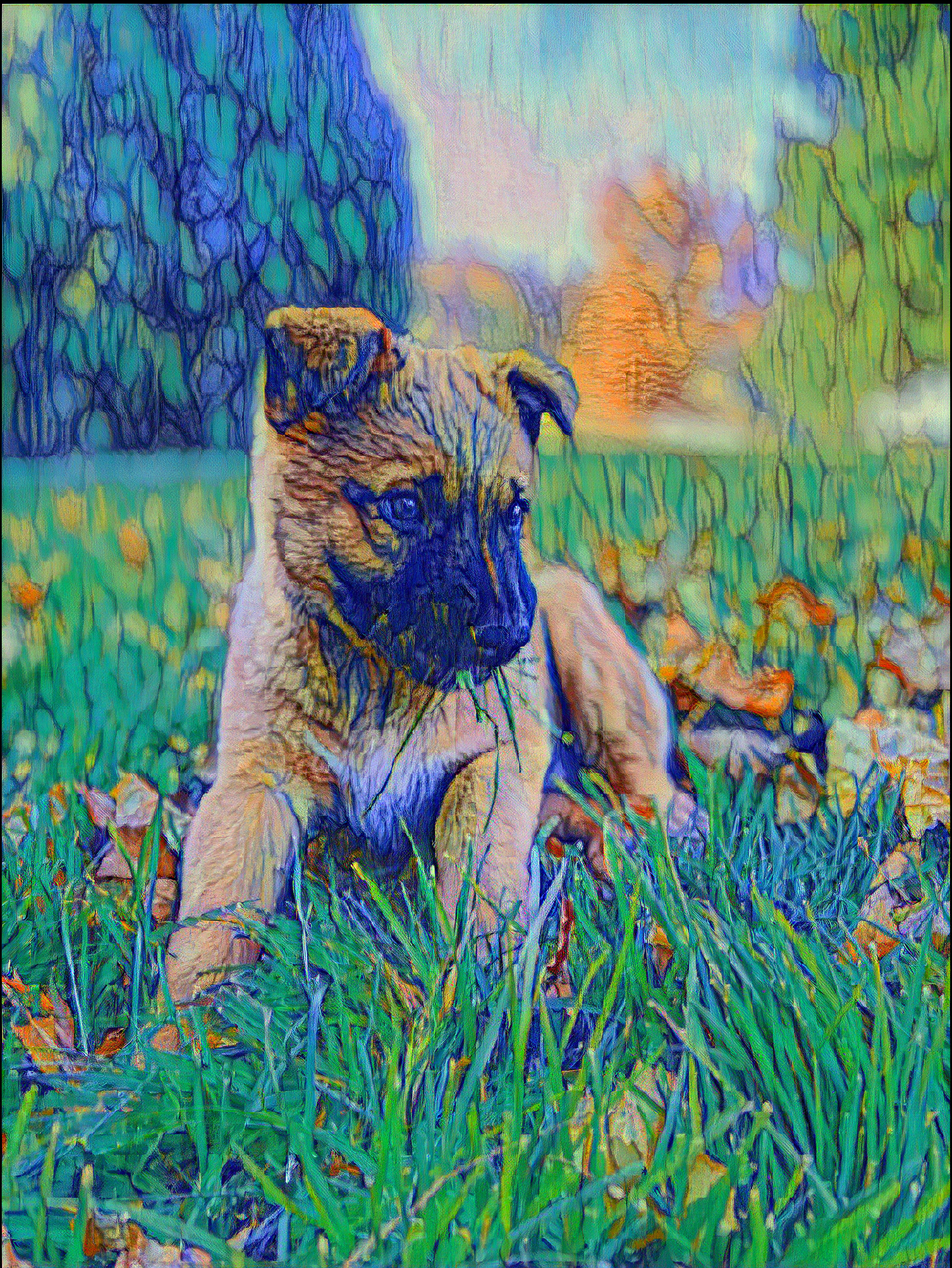 Generic placeholder image